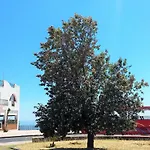 Orpheus Otel 2*