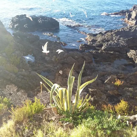Orpheus 2* 지아르디니낙소스